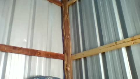 Snapshot of wharda chatting on June 23, 2026, 5:16 am wharda online show from June 23, 2026, 5:16 am