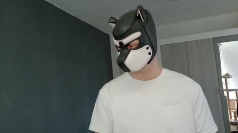 white_pup online show from April 21, 2026, 11:16 am