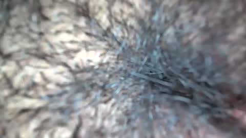 white_sexy_ online show from September 14, 2025, 10:47 am