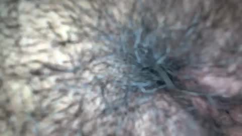 white_sexy_ online show from September 21, 2025, 11:34 am