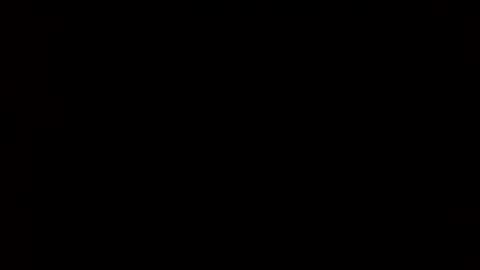 whitehead_lion online show from February 24, 2025, 6:05 am