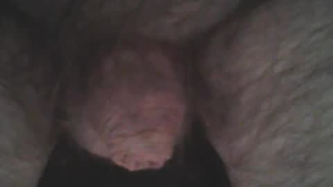 whitemann65 online show from January 2, 2025, 10:05 am