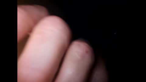 whiteoak19522 online show from April 10, 2026, 9:47 am