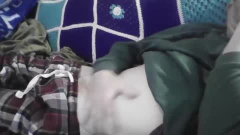 PETER online show from November 16, 2025, 8:47 pm