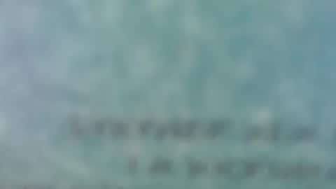 whynot6913 online show from November 8, 2025, 5:07 am