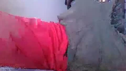 wild lemont online show from October 8, 2025, 8:23 am