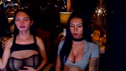 wildara online show from February 7, 2025, 1:22 pm