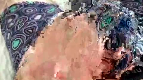 Wildhon online show from January 14, 2025, 9:30 pm