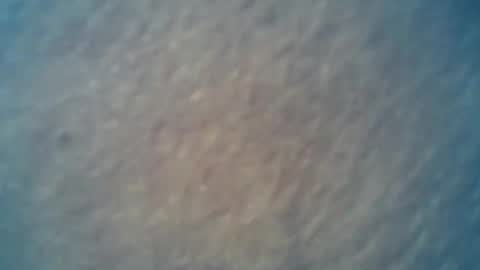 Snapshot of wildman6 chatting on February 15, 2025, 9:26 pm wildman6 online show from February 15, 2025, 9:26 pm