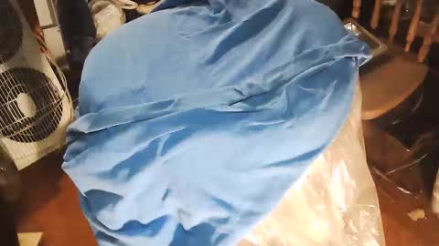 Snapshot of wildman6 chatting on January 10, 2026, 8:43 pm wildman6 online show from January 10, 2026, 8:43 pm