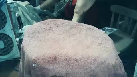 Snapshot of wildman6 chatting on March 27, 2026, 7:46 pm wildman6 online show from March 27, 2026, 7:46 pm