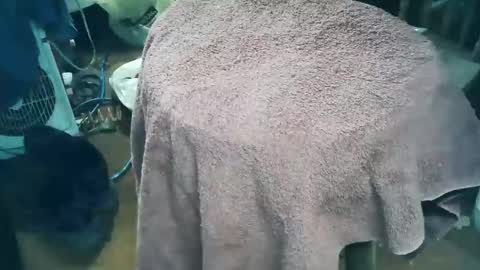 Snapshot of wildman6 chatting on March 28, 2026, 9:58 pm wildman6 online show from March 28, 2026, 9:58 pm