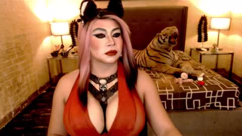 wildtransjhade online show from January 18, 2025, 6:32 pm