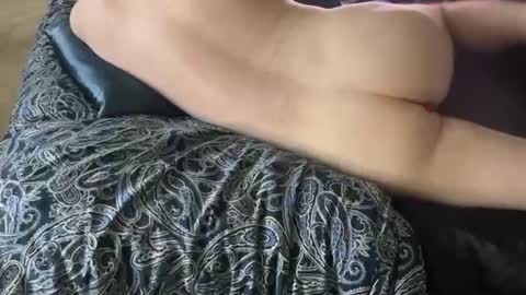 Snapshot of wildtravis chatting on February 14, 2026, 4:48 pm wildtravis online show from February 14, 2026, 4:48 pm