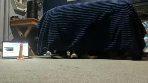 williambisexual online show from December 22, 2025, 12:40 am