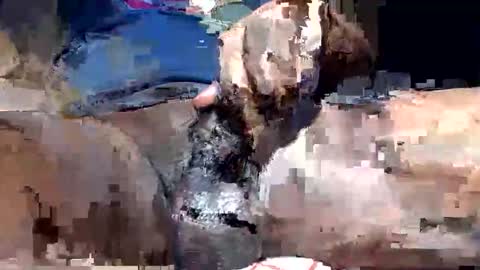 willianel online show from December 13, 2025, 11:43 pm