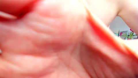 Wilhelmina better Willy online show from February 20, 2025, 9:55 am