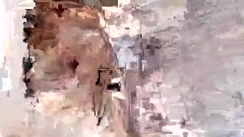 willytal2025 online show from January 13, 2026, 7:19 pm