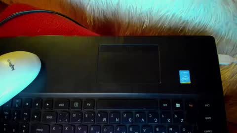 Winter Miracle online show from January 20, 2025, 7:36 am