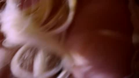 Snapshot of witch_fiona chatting on May 28, 2026, 8:17 pm Goddess of two strapons - Mr. long Don Mr. Pinky online show from May 28, 2026, 8:17 pm