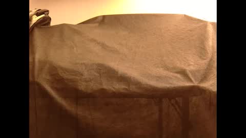 Snapshot of withbothhandsplease chatting on December 25, 2024, 10:39 am Mater online show from December 25, 2024, 10:39 am