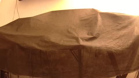 Snapshot of withbothhandsplease chatting on January 22, 2025, 4:02 pm Mater online show from January 22, 2025, 4:02 pm