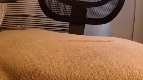 Snapshot of withbothhandsplease chatting on September 29, 2025, 8:30 am Mater online show from September 29, 2025, 8:30 am