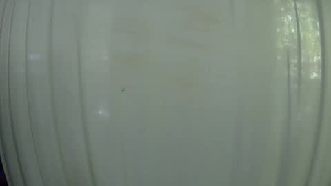 Snapshot of withbothhandsplease chatting on October 7, 2025, 7:55 pm Mater online show from October 7, 2025, 7:55 pm