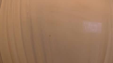 Snapshot of withbothhandsplease chatting on October 19, 2025, 3:34 pm Mater online show from October 19, 2025, 3:34 pm