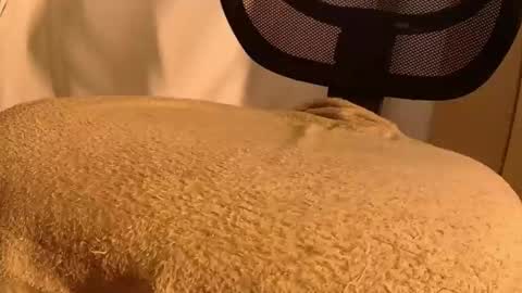 Snapshot of withbothhandsplease chatting on November 14, 2025, 5:44 pm Mater online show from November 14, 2025, 5:44 pm