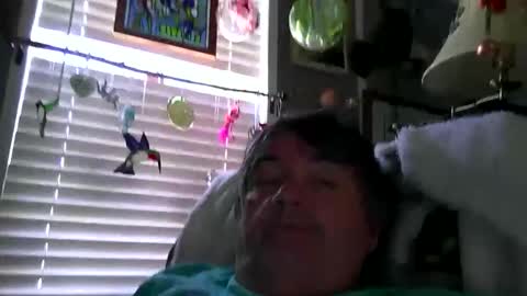 Snapshot of wldlife chatting on May 28, 2026, 5:10 pm wldlife online show from May 28, 2026, 5:10 pm