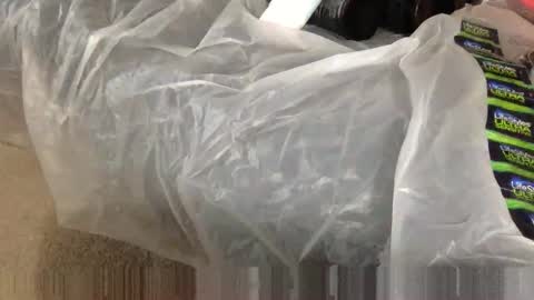 Snapshot of wolfyi chatting on February 5, 2025, 2:48 pm Sultan Blaze online show from February 5, 2025, 2:48 pm