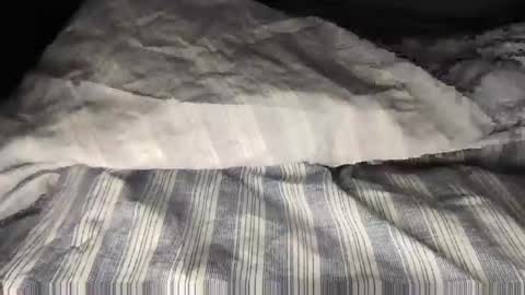 Snapshot of wolfyi chatting on February 8, 2025, 10:39 am Sultan Blaze online show from February 8, 2025, 10:39 am