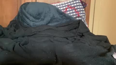 Snapshot of wonkywillywanks chatting on January 31, 2025, 12:51 pm wonkywillywanks online show from January 31, 2025, 12:51 pm