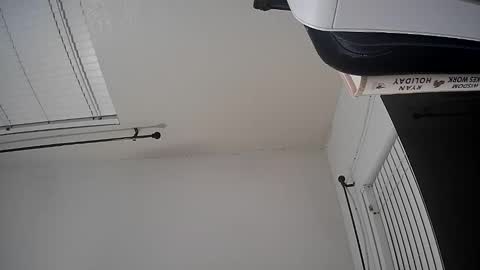 Snapshot of woodcouldshould86 chatting on January 15, 2026, 8:41 am WoodCouldShould86 online show from January 15, 2026, 8:41 am