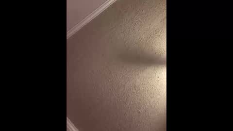 Woodpipe69 online show from October 3, 2025, 2:47 pm