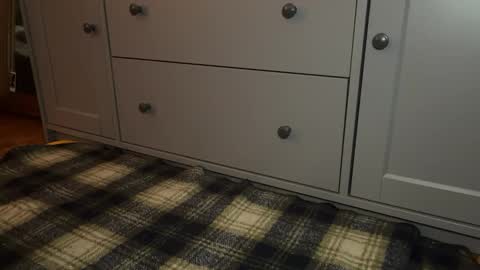 Sage online show from December 21, 2025, 4:25 pm