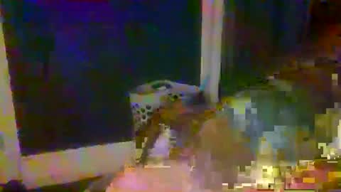 Snapshot of woperator3 chatting on January 9, 2025, 1:50 am woperator3 online show from January 9, 2025, 1:50 am