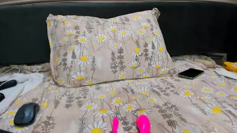              online show from February 15, 2025, 6:33 am