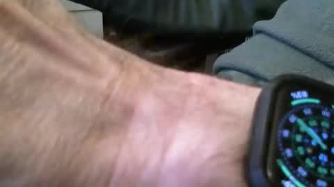 wrangleat0r online show from November 16, 2025, 9:20 pm