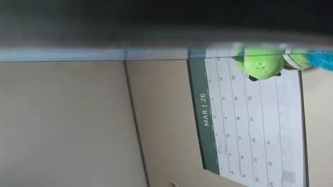 x_man2026 online show from March 18, 2026, 2:37 am