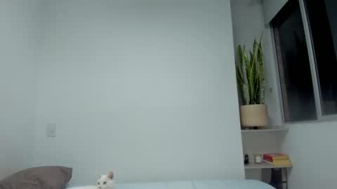 Xavier online show from September 28, 2025, 12:38 am