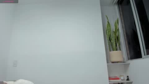 Xavier online show from November 23, 2025, 12:54 am