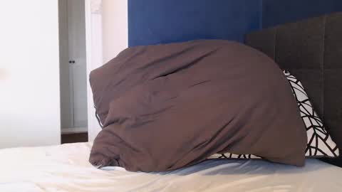 Snapshot of xhotfanx chatting on January 1, 2025, 11:05 am xhotfanx online show from January 1, 2025, 11:05 am