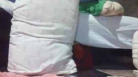 xhotskinny69x online show from March 5, 2025, 10:21 pm