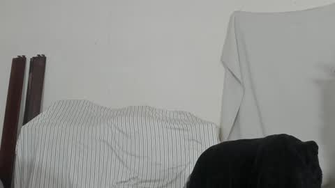 MetalstudMaster online show from February 9, 2026, 8:13 pm