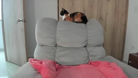 Hellen Sofia instagram hellen5546 online show from May 9, 2026, 7:41 pm