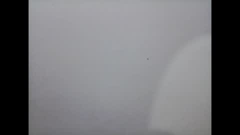 Mariel online show from December 2, 2024, 12:07 pm