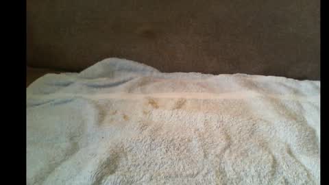 xxbigdick90xx online show from May 12, 2026, 6:43 am