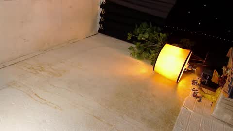 Sophie online show from October 19, 2025, 5:57 pm